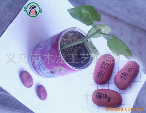义乌市木龙工艺饰品厂