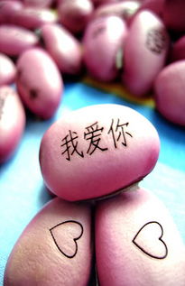 相思豆图片素材 相思豆图片素材下载 相思豆背景素材 相思豆模板下载 